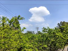 -中国移动南方基地