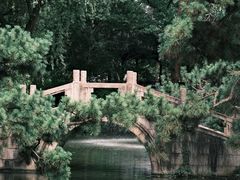 -上海醉白池公园