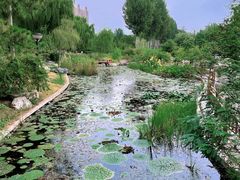 -燕郊植物园