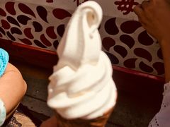 -富豪雪糕车流动点(尖沙咀店)