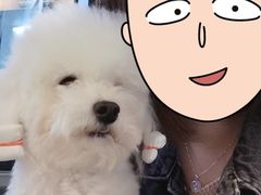 -PETKIT小佩宠物·低压洗护(国顺东路店)