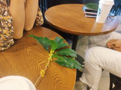 -星巴克(上海虹桥新天地二店)