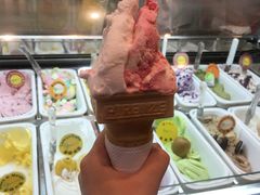 -柠檬车露(卖草地店)