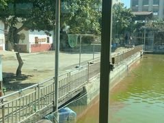 -农家小院土菜馆(斩坑桥店)