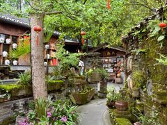 -青城甲(青城山店)