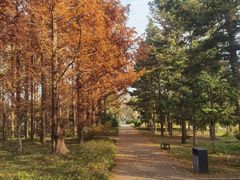 -国家植物园南园