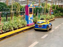 -南宫五洲植物乐园