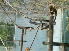 -秦皇岛野生动物园