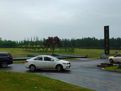 -两河城市森林公园