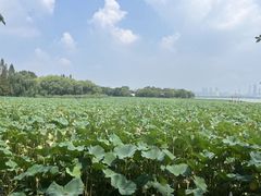 -云龙湖旅游景区