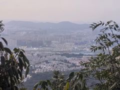 -紫金山山顶公园