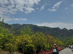 -灵岩山风景区