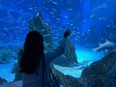 -海合安成都极地海洋公园