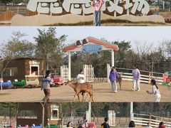 -盈香心动乐园