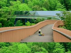 -蜀南竹海景区
