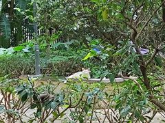 -晓港公园