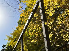 -老梦面包CHEZMOREL(麦子店)