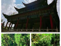 -武陵山森林公园