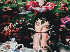 -坂田天虹