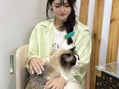-青奢宠物·青奢猫舍