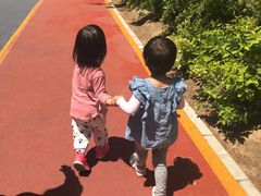 -大兴滨河森林公园