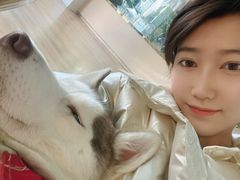 -Husky Go! 哈士奇体验馆·宠物咖啡厅狗咖