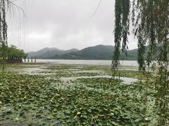 -鸣鹤古镇