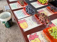 -马陆小张葡萄园农家乐