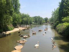 -宿豫区运河湾森林动物园