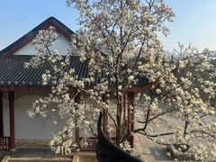 -堤角公园