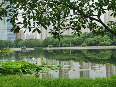 -后襄河公园