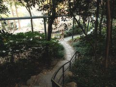 -中山公园
