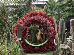 -呀路古热带植物园