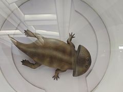 -陕西自然博物馆