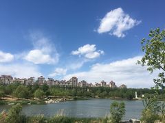 -马家湾湿地公园
