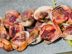 毛蚶-高佳庄·海鲜酒楼(东港店)
