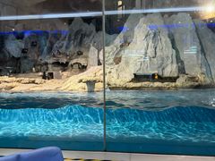 -帝企鹅自助餐厅•儿童岛•真企鹅(长隆企鹅酒店)