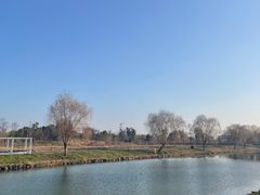 -广富林郊野公园