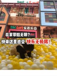 -宝燕乐园(闵行旗舰店)