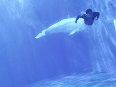 -多彩贵州城极地海洋世界