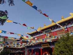 -西安市广仁寺