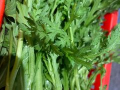 -老东风菜馆·潮汕大排档