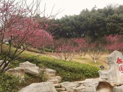 -重庆彩云湖湿地公园