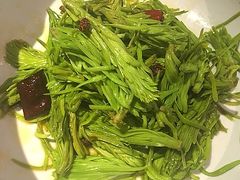 炝拌松尖-潮粥荟·潮汕砂锅粥(朝阳大悦城店)