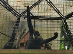 -海南热带野生动植物园
