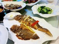 -骏莱海鲜鱼港(五角场店)