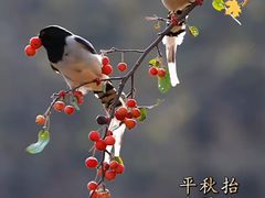 -伊隆斋(什刹海店)