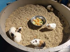 -常州海昌海洋探索馆