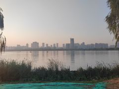 -合肥滨湖国家森林公园