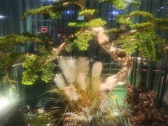 -渝乡辣婆婆·川菜 水煮鱼(中山西路店)